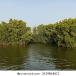 年轻漂亮的后母韩版 53eko3zfx