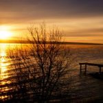 red rooms full movie:探索禁忌与恐惧的深渊之旅 mjtc8jaf1h